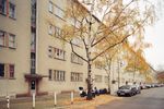 Berlin Siemensstadt BA I-I, Langer Jammer